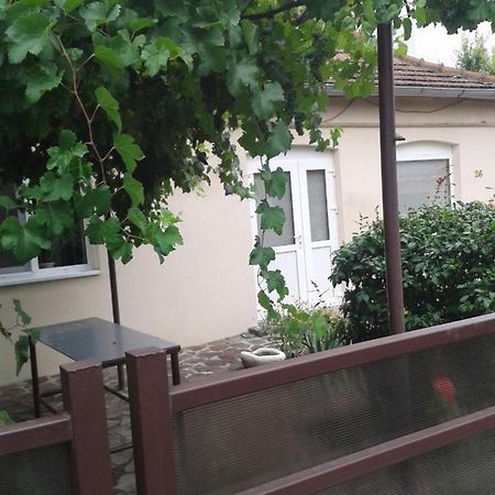 Pensiunea Casa Didina Bacău Exterior photo